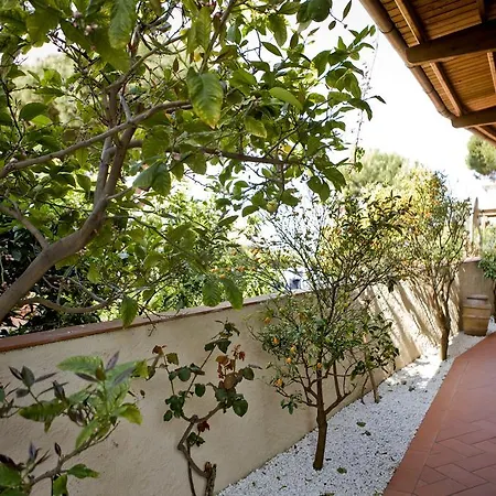 Corallo Hotel Pomonte