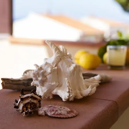 Corallo Hotel Pomonte