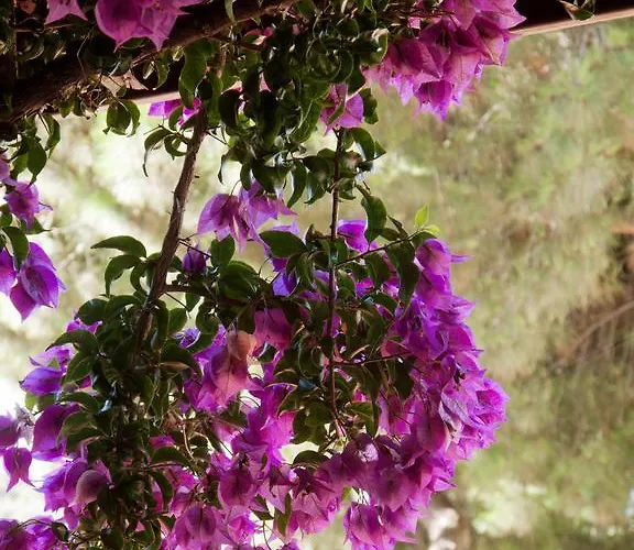 Corallo Szálloda 3*