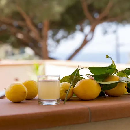 Corallo Hotel Pomonte