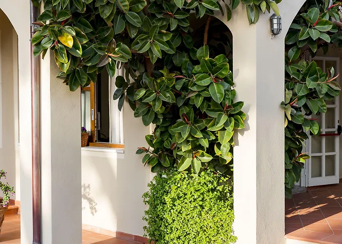 Corallo Hotel Pomonte