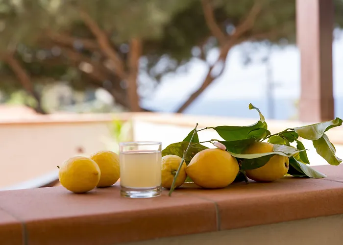 Corallo Hotel Pomonte