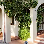 Corallo Hotel Pomonte