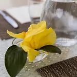 Corallo Pomonte